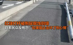红绿灯杆被狗尿腐蚀倒塌 日本民众反抱怨“如果阻止会坏了狗心情”