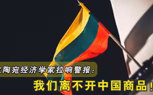 开始后悔了立陶宛货架将空空如也，俄媒这就是挑衅中国的下场