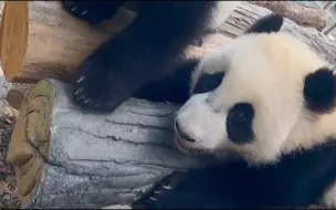 《当燃青春》概念宣传片