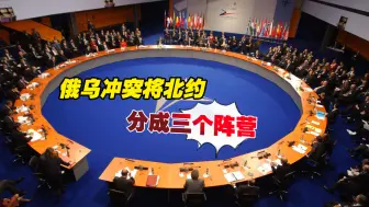 俄乌冲突将北约分成三个阵营：“鹰派”“鸽派”“鸵鸟派”