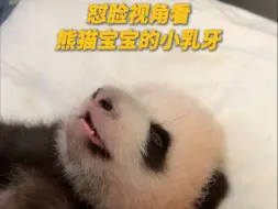 怼脸视角看熊猫宝宝的小乳牙！是谁被萌化了