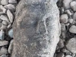 男子在龙门石窟附近钓鱼，钓到一尊佛头，做工精湛，有被凿过的痕迹