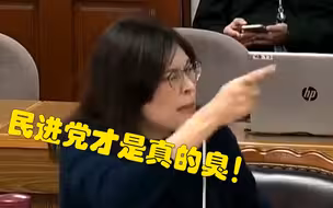 拍案对骂！“蓝委”郑丽文怒斥民进党滥用权力：比猪内脏还臭