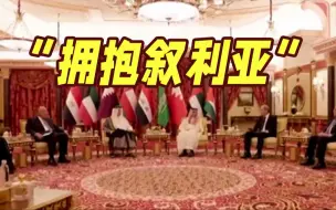 克服海湾内部分歧 中东九国外长讨论“拥抱叙利亚”