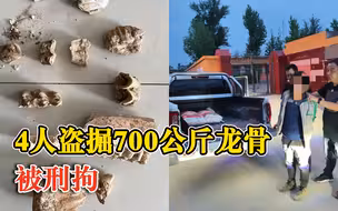 4人盗掘700公斤龙骨被刑拘：古脊椎动物化石俗称龙骨，可入药