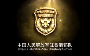 驻港部队：2019年的难忘瞬间