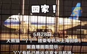 熊猫“丫丫”专机顺利抵达北京