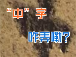 嫦娥六号月背采样“中”字是怎么挖出来的？工作人员揭秘！