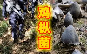 这或许是只有云南戍边民警才有的“巡边福利”......