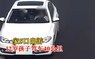 一家5口出游12岁孩子驾车40公里，被查辩称：在游戏里开挺好