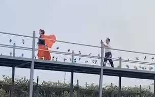 婆婆举着纱巾凹造型 公公举着手机一路小跑努力跟拍 网友：是爱情啊