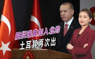 逼美国妥协，土耳其又出手了，再次阻拦瑞典加入北约