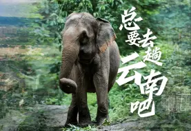 总要去趟云南吧｜西双版纳不思归