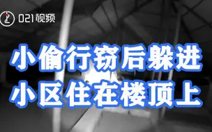 上海一小偷行窃后躲进小区住在楼顶上：曾居住在该小区，对大楼构造了解