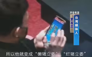 绿营民代在台立法机构议场玩“手机麻将”遭痛批！