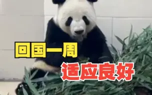 “美香”一家最新视频！