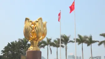 宁吉喆：国家给予香港更大支持 期待香港发挥更大作用