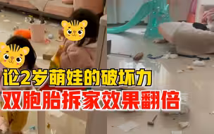 2岁双胞胎萌娃拆家效果翻倍，宝妈：亲生的，不能打
