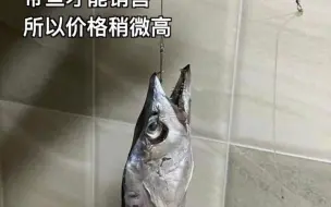 洗带鱼成了“拆炸弹”，挂着鱼钩的带鱼真的是海钓上来的吗？