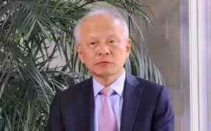 中国大使反问CNN：世卫能否到美国做病毒溯源？