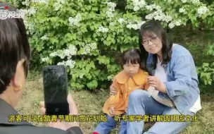 圆明园第二十六届踏青节今起开幕