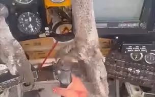 巨鸟撞碎玻璃冲入厄瓜多尔一飞机舱内 飞行员满脸血仍淡定驾驶