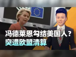 大快人心，冯德莱恩突遭欧盟清算，原因竟是勾结美国巨头？