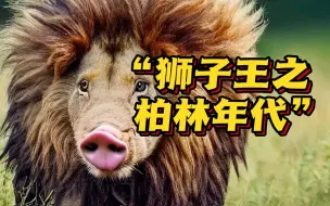 10万欧元！柏林“史上最贵搜捕”闹乌龙 “在逃母狮”竟是……