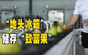 聚焦三农丨“地头冰箱”储存“致富果”