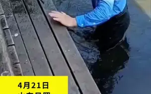 好样的！大爷见义勇为救下落水儿童 全身湿透的样子让人动容!