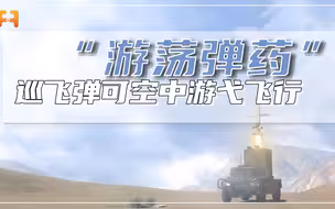 巡飞弹可游弋飞行，待机执行多种任务，堪称“游荡弹药”！