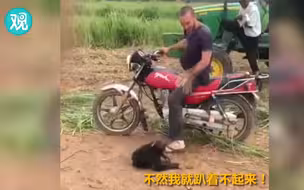 小猩猩实力演示“当你爸出门玩却不带你的时候”