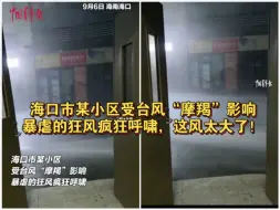 海口市某小区受台风“摩羯”影响，暴虐的狂风疯狂呼啸，这风太大了！