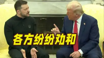 谈崩后泽连斯基最新发声！北约秘书长劝和：快跟美国和好