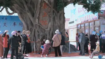 现实版《山海情》美食街经营压力大，他们“绝地求生”能成功吗？