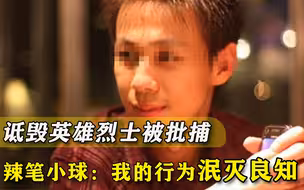 辣笔小球诋毁英雄翻车，法学硕士记者出身，他为何敢知法犯法？