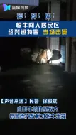 砰砰砰！惊牛闯入居民区 绍兴巡特警火速出击