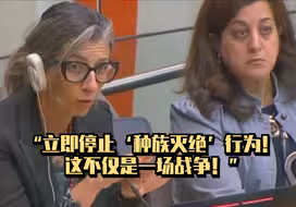 联合国专家：立即停止“种族灭绝”行为！这不仅是一场战争！
