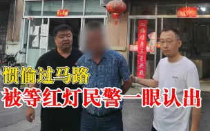 惯偷过马路被等红灯民警一眼认出：先后10多次因盗窃被打击处理