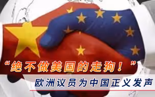 “绝不做美国的走狗！”欧洲议员为中国正义发声，默克尔也表态了