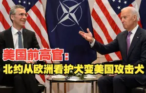 美国前高官：北约从欧洲看护犬变美国攻击犬