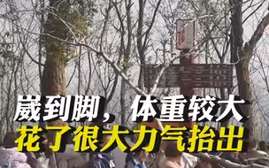 岳麓山景区否认游客坠崖：崴到脚，体重较大花了很大力气抬出