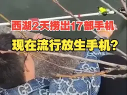 杭州西湖2天捞起17部手机，网友：你们那拍照拍湖底？
