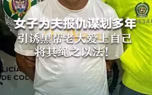 女子为夫报仇谋划多年，引诱黑帮老大爱上自己后将其绳之以法！
