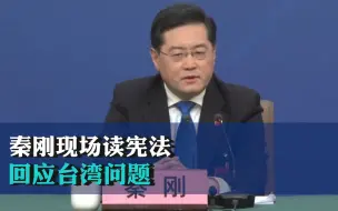 秦刚现场读宪法回应台湾问题