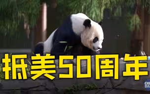 美国民众欢庆熊猫抵美50周年