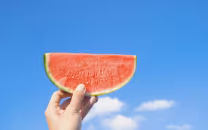 「一晃两三年，匆匆又夏天」。