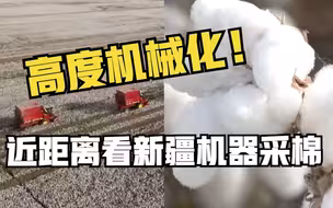 高度机械化！近距离看新疆机器采棉
