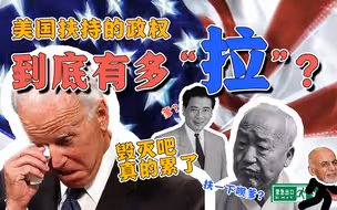 美国扶持的军队有多拉？就算30万头猪…