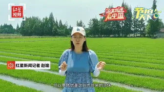 沿着高速看中国|节拍天下：崇州水木北部环线